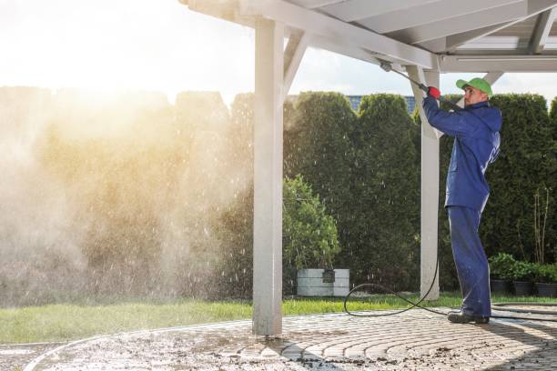 Best Graffiti Removal  in Bellerose, NY