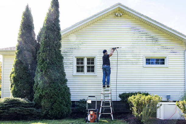 Best Dumpster Area Cleaning  in Bellerose, NY